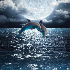 Meet your Posher, Elaine